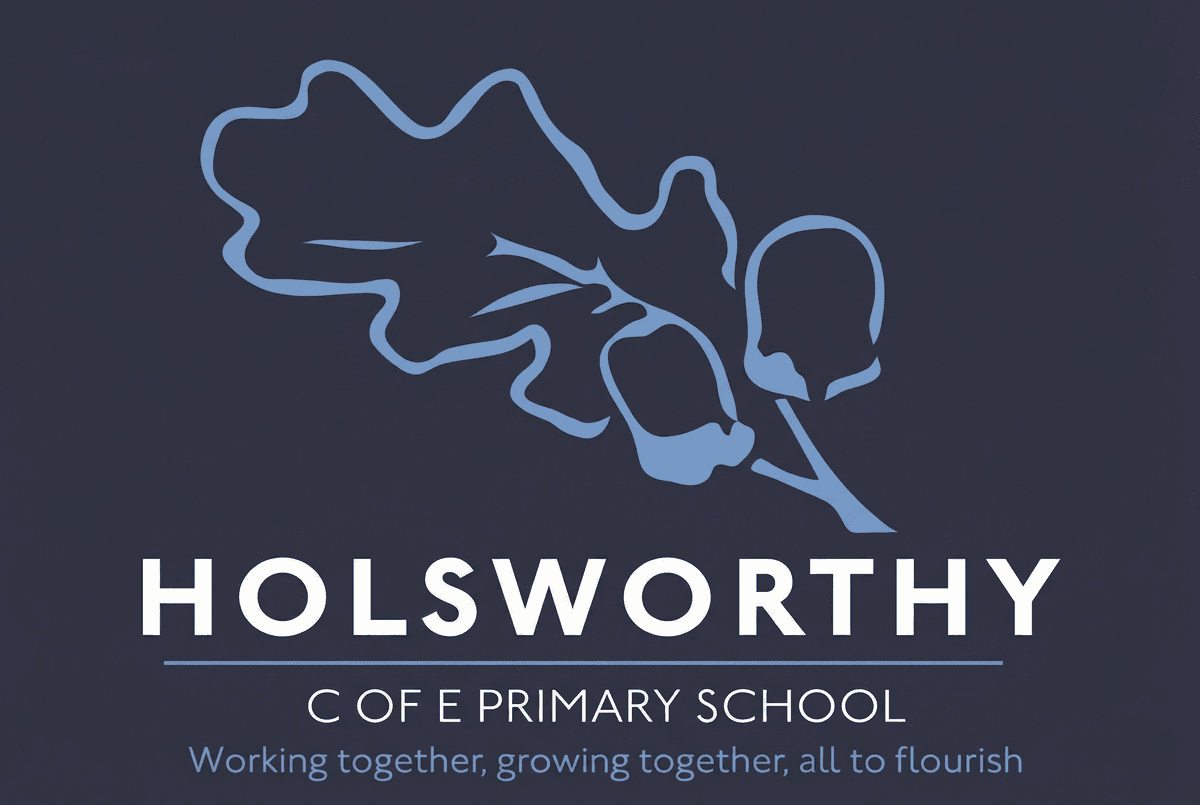 Holsworthy Primary School