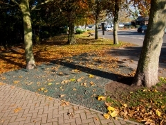 Addition of colour to 'Bidefort' in Victoria Park, Bideford