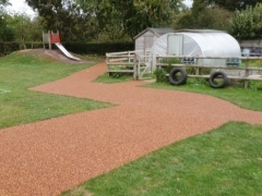 Primary School 3D Star Buddies and Daily Mile Running Track